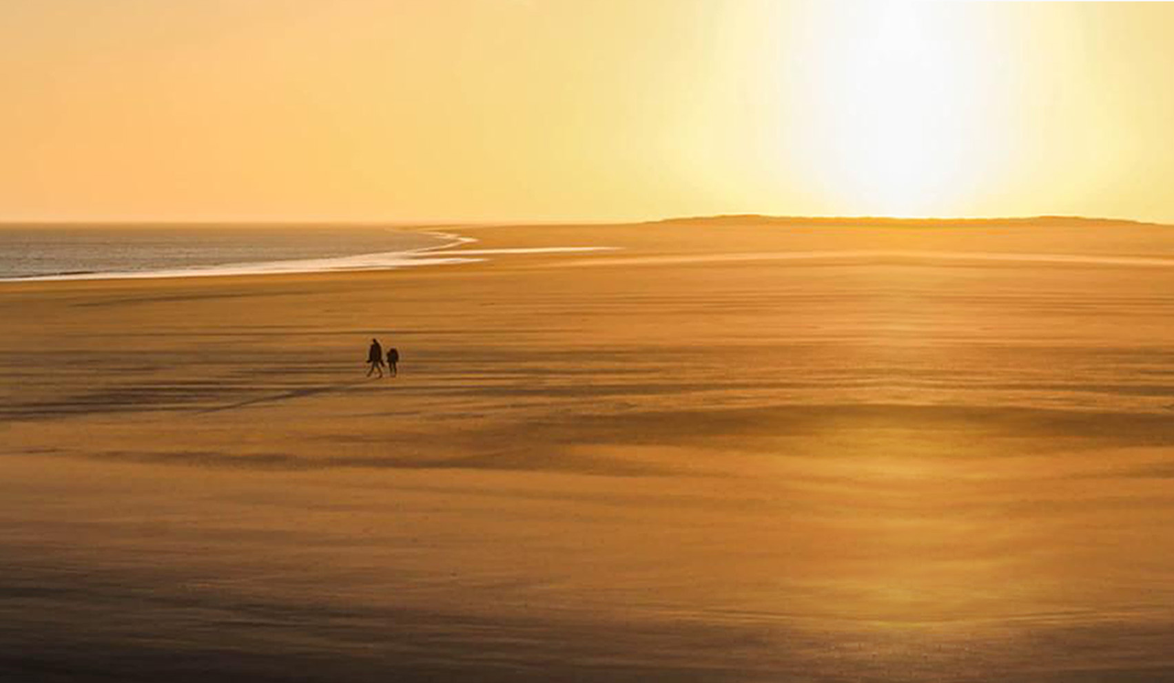 people in the distance on a large beach in a glowing golden sunset